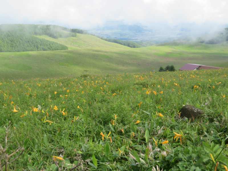 f:id:mannenNA:20210809195127j:plain