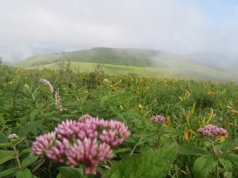 f:id:mannenNA:20210809195222j:plain