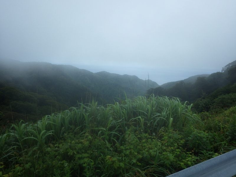 f:id:mannenNA:20210811215349j:plain