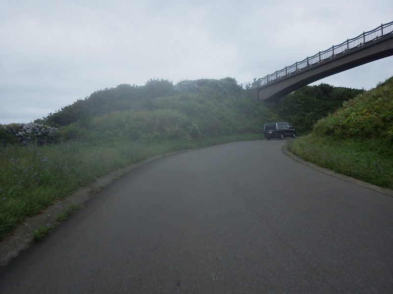 f:id:mannenNA:20210811215637j:plain