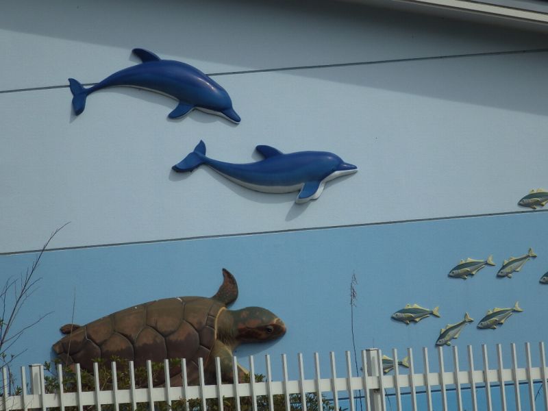 f:id:mannenNA:20210812201056j:plain