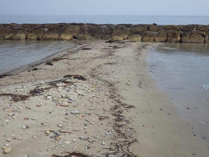 f:id:mannenNA:20210812201152j:plain