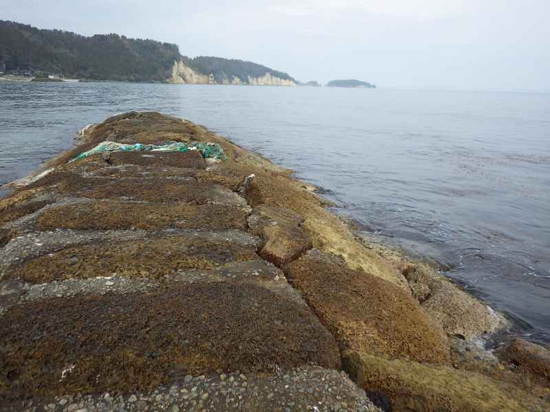 f:id:mannenNA:20210812201219j:plain