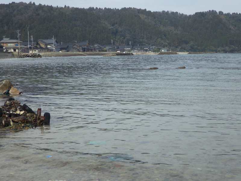 f:id:mannenNA:20210812201240j:plain