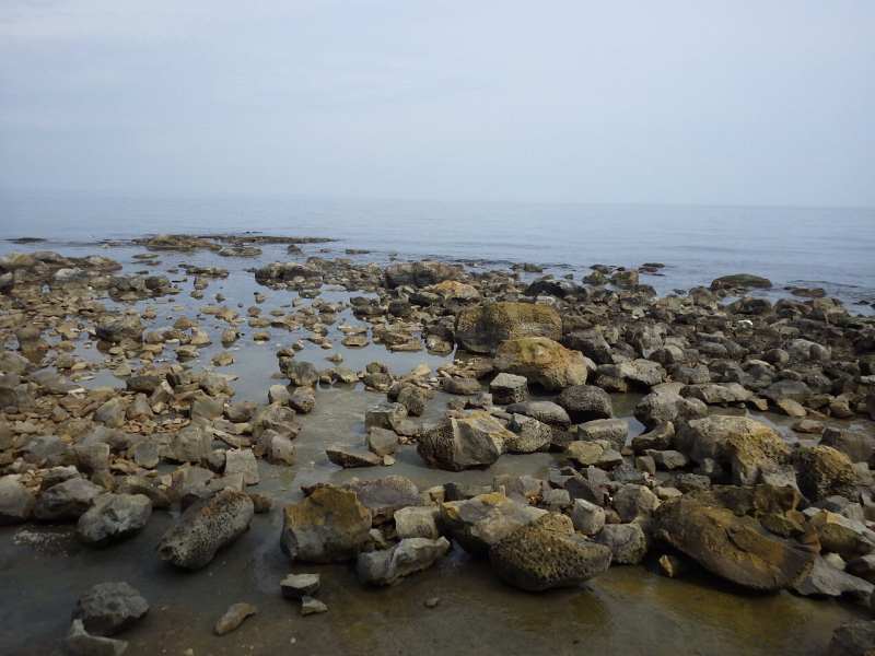 f:id:mannenNA:20210812201358j:plain