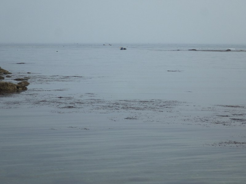 f:id:mannenNA:20210812201413j:plain