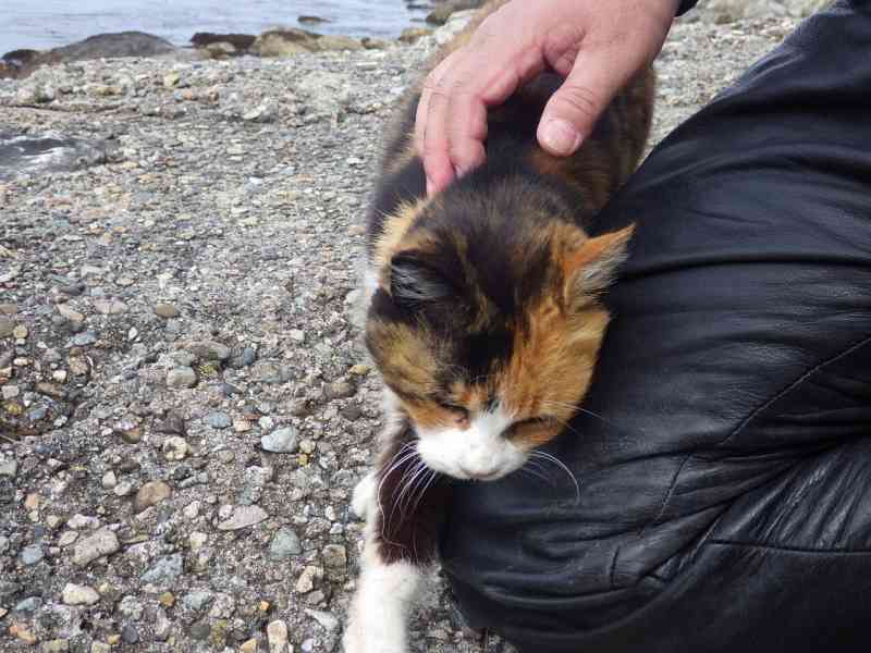 f:id:mannenNA:20210812201618j:plain