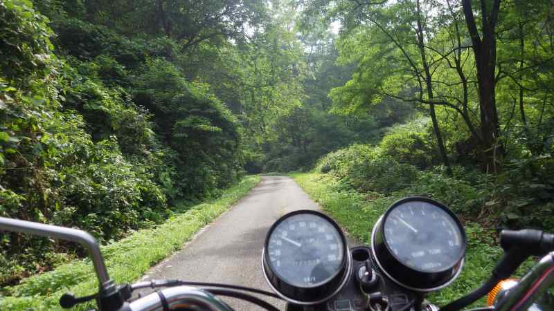 f:id:mannenNA:20210813154504j:plain