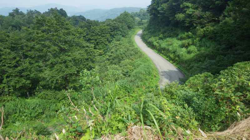 f:id:mannenNA:20210813154516j:plain