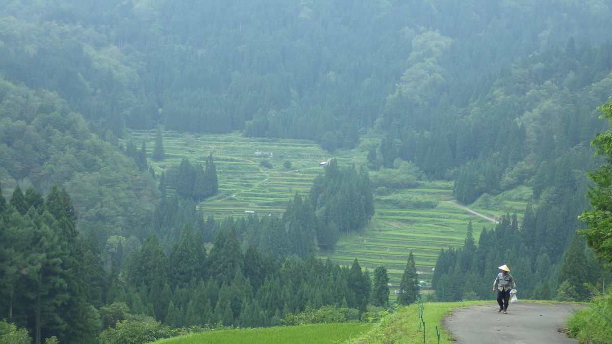 f:id:mannenNA:20210813155131j:plain