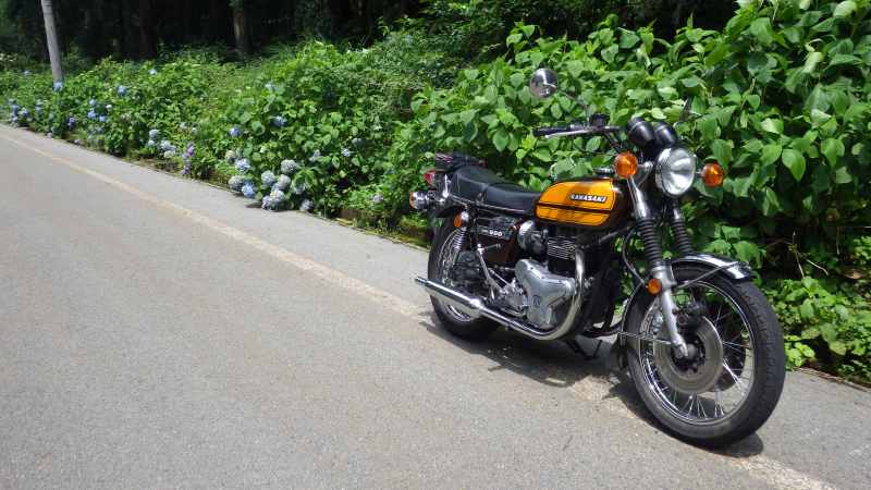 f:id:mannenNA:20210813155305j:plain