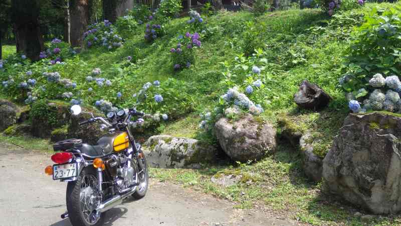 f:id:mannenNA:20210813155339j:plain