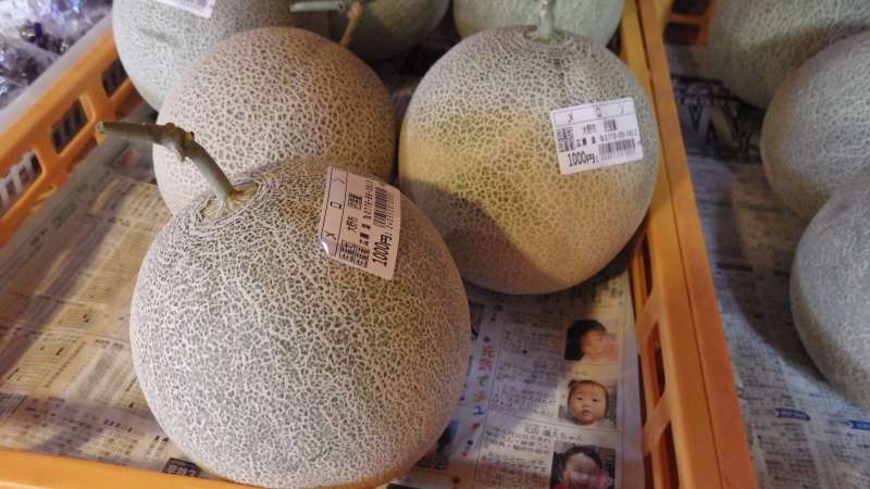 f:id:mannenNA:20210813155651j:plain