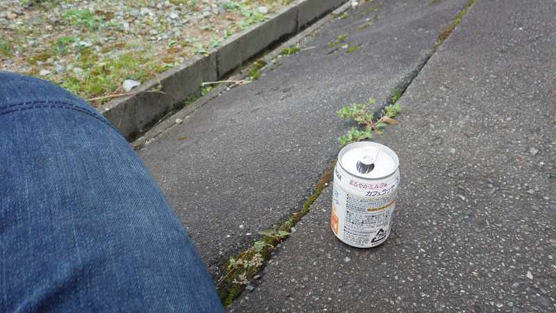 f:id:mannenNA:20210813155803j:plain