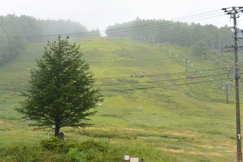 f:id:mannenNA:20210825202445j:plain