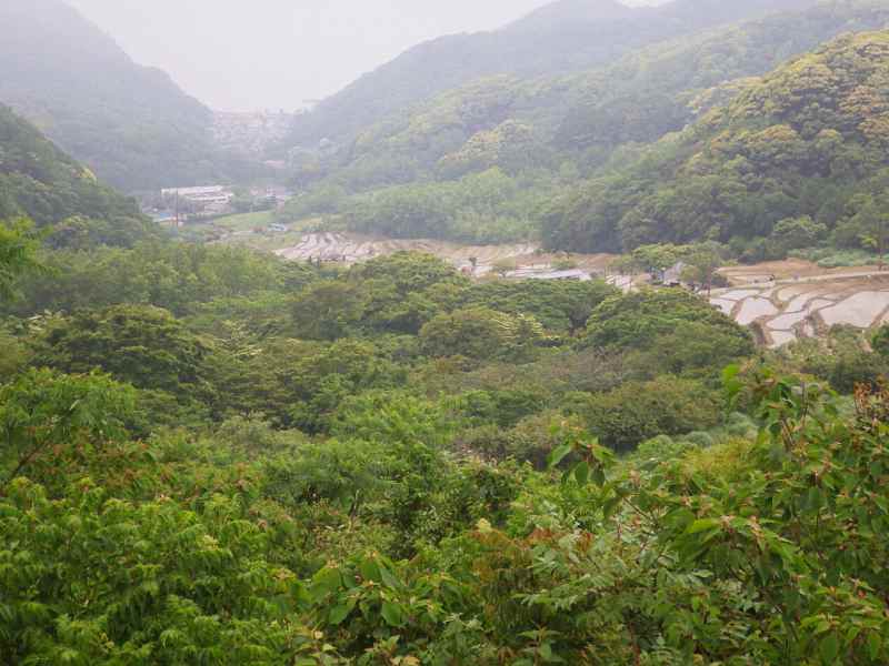 f:id:mannenNA:20210831200819j:plain