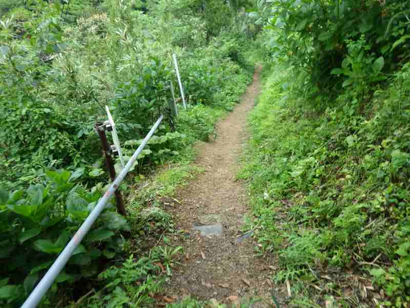 f:id:mannenNA:20210901194732j:plain