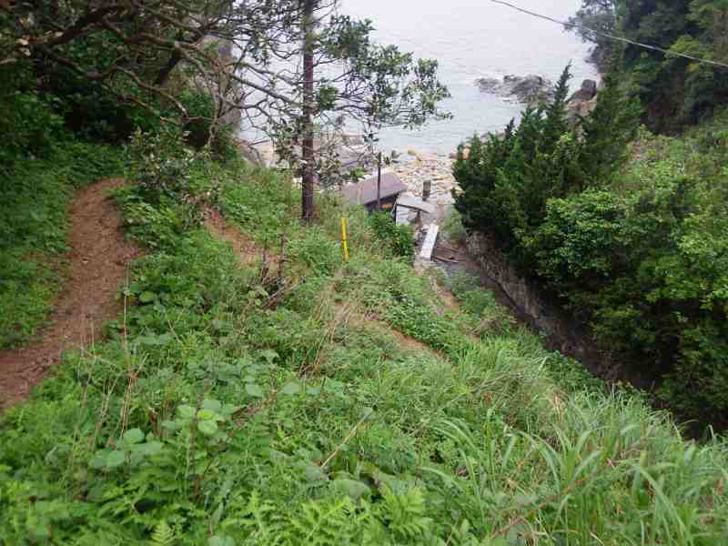 f:id:mannenNA:20210901194749j:plain