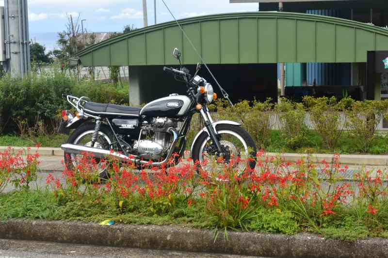 f:id:mannenNA:20210906201720j:plain