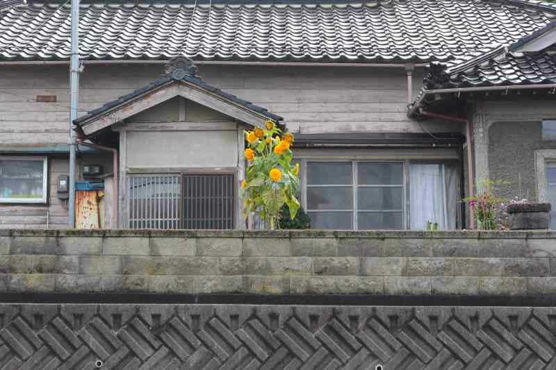 f:id:mannenNA:20210906201743j:plain