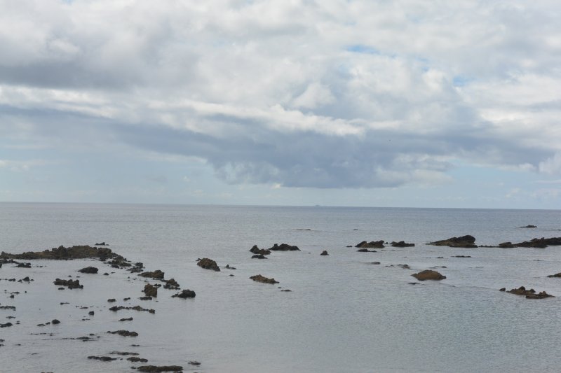 f:id:mannenNA:20210906201904j:plain