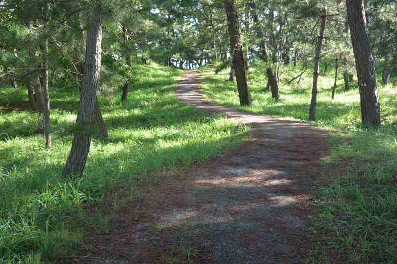 f:id:mannenNA:20210909165507j:plain