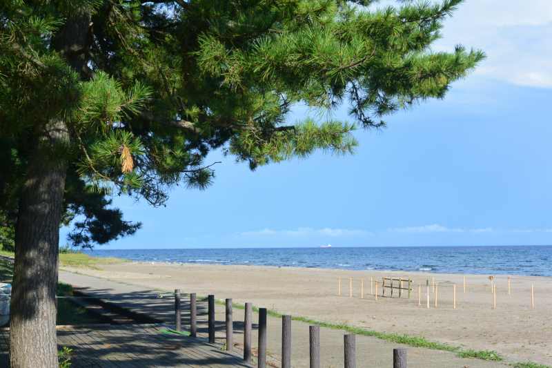 f:id:mannenNA:20210909165524j:plain