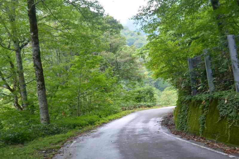 f:id:mannenNA:20210914191232j:plain