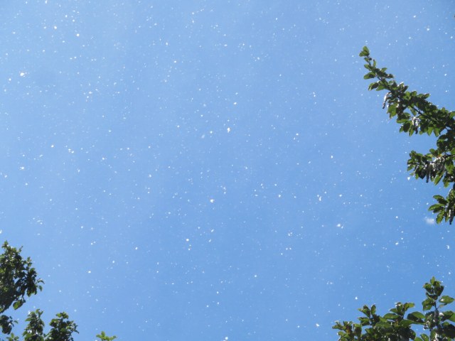 f:id:mannenNA:20210914191519j:plain