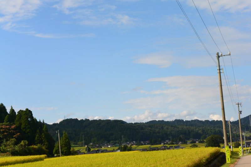 f:id:mannenNA:20210914192002j:plain