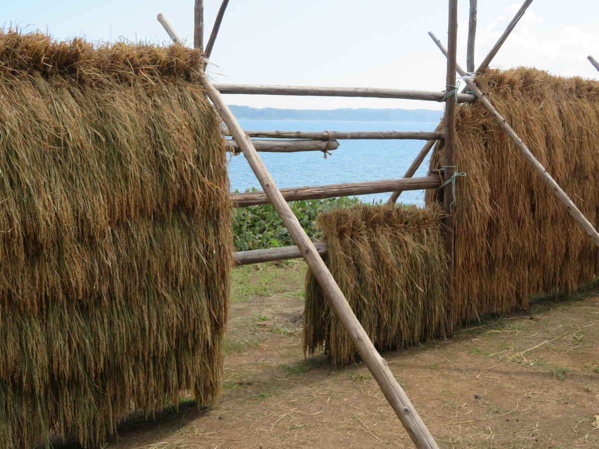 f:id:mannenNA:20210917182052j:plain