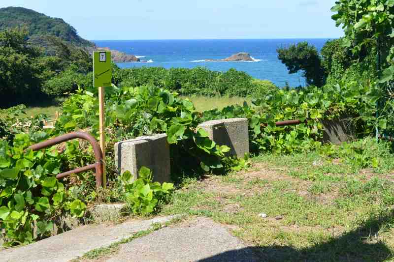 f:id:mannenNA:20210923181307j:plain