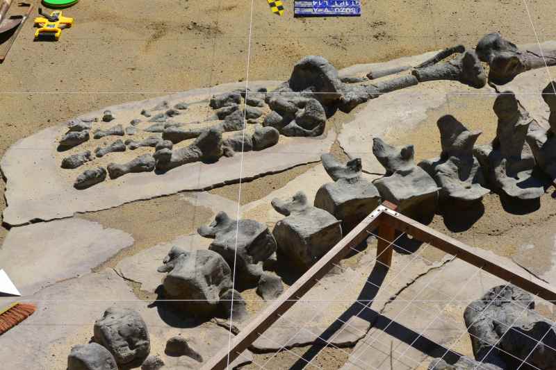 f:id:mannenNA:20210923181415j:plain