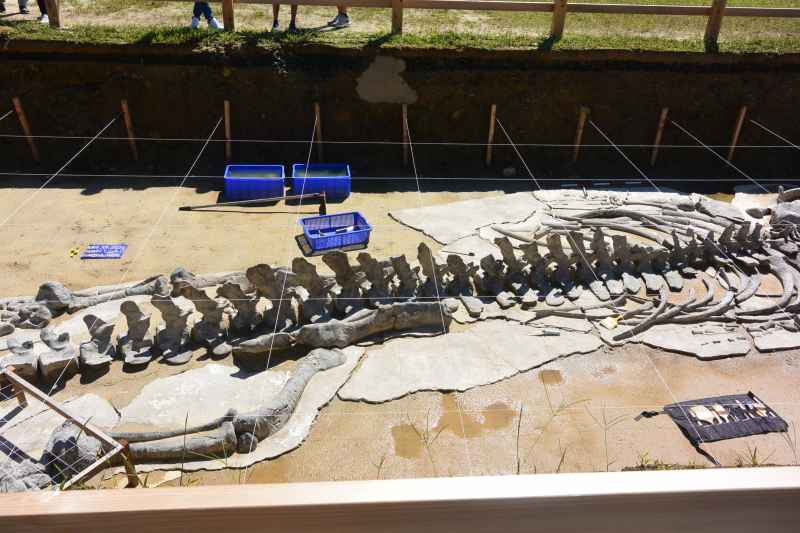 f:id:mannenNA:20210923181431j:plain