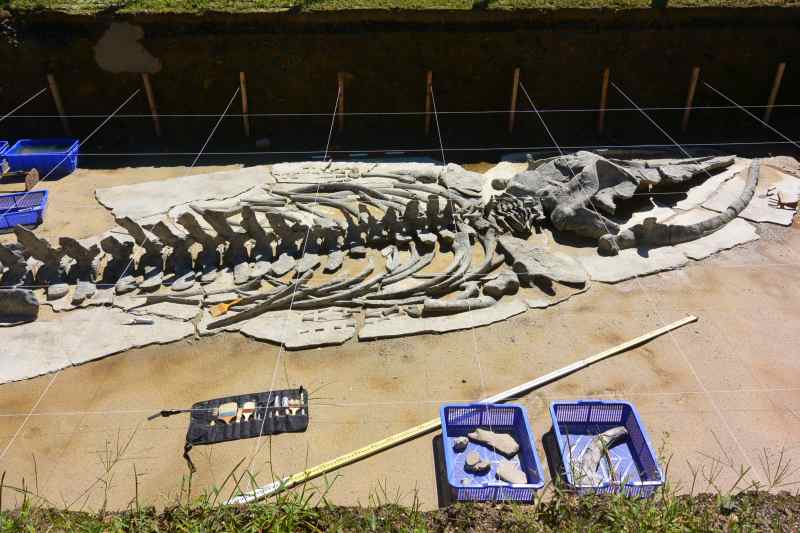 f:id:mannenNA:20210923181450j:plain