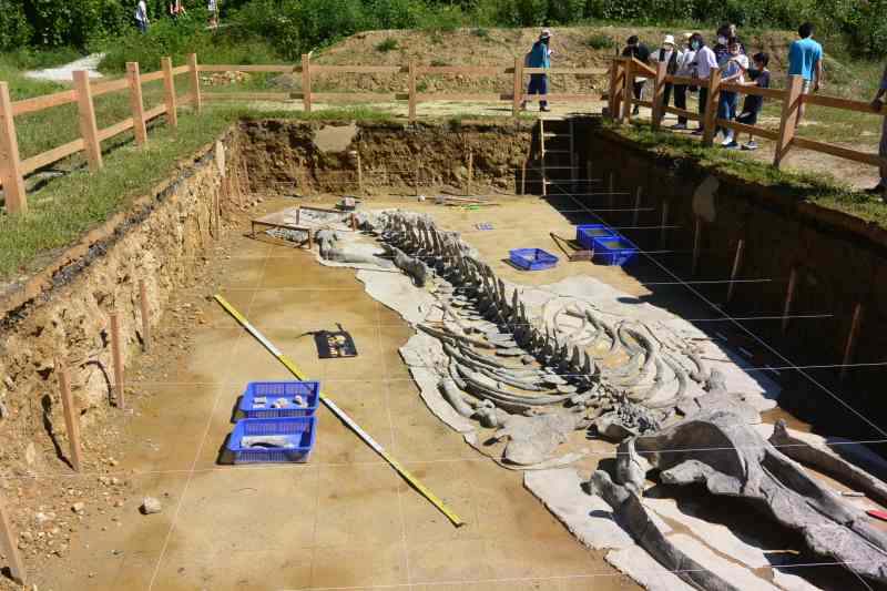 f:id:mannenNA:20210923181517j:plain