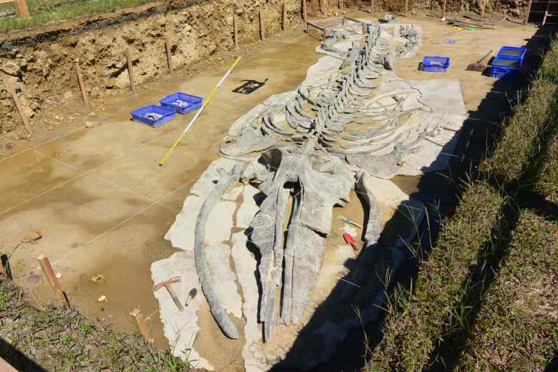 f:id:mannenNA:20210923181554j:plain