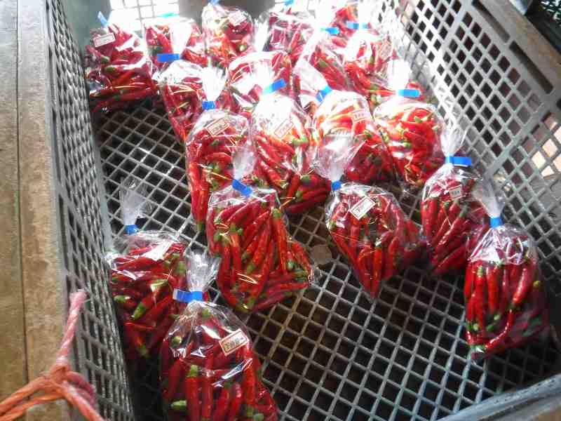 f:id:mannenNA:20211006200359j:plain