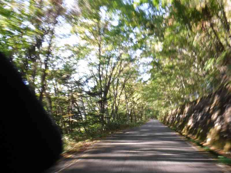 f:id:mannenNA:20211015175459j:plain