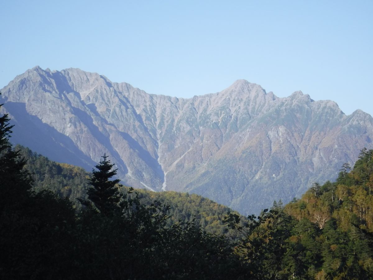 f:id:mannenNA:20211015180230j:plain