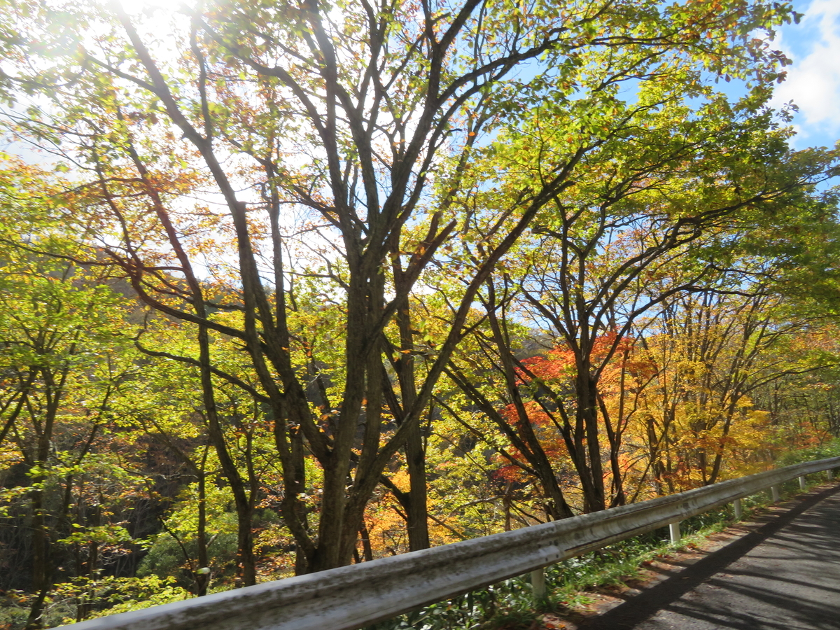 f:id:mannenNA:20211024183419j:plain