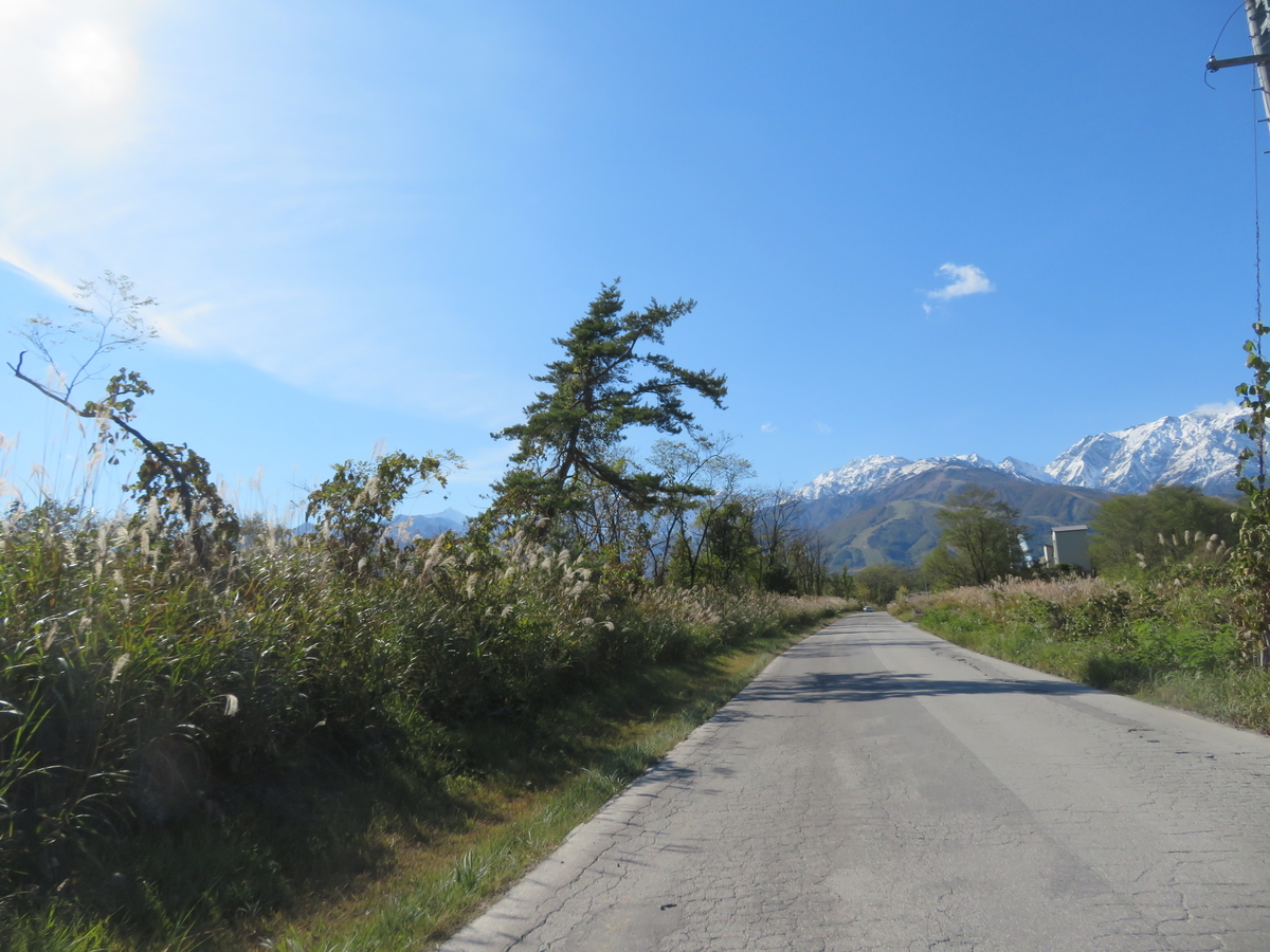 f:id:mannenNA:20211024183501j:plain