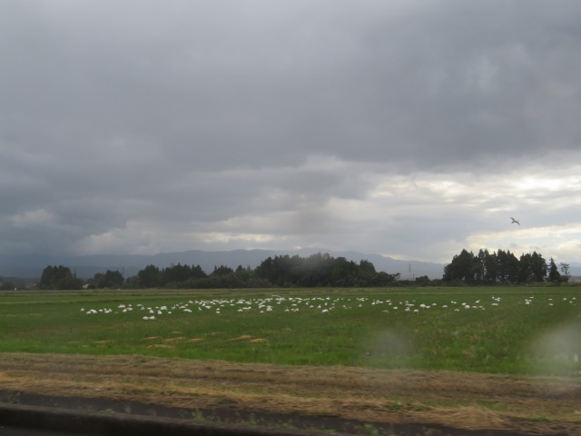 f:id:mannenNA:20211027200038j:plain