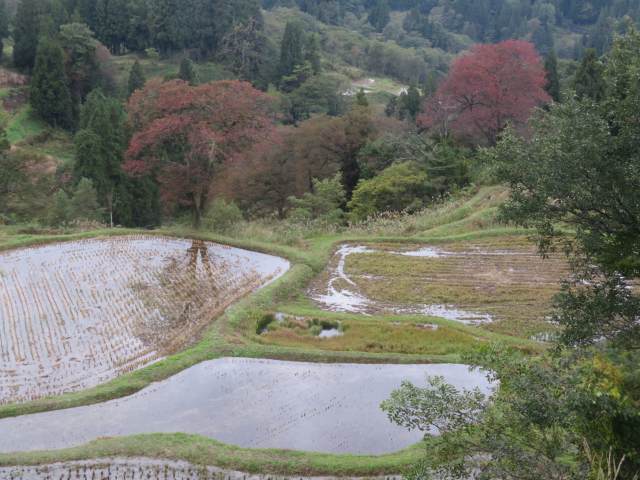 f:id:mannenNA:20211027200230j:plain