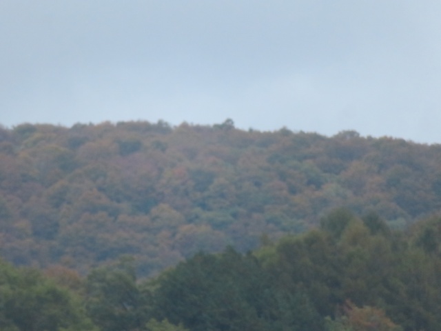 f:id:mannenNA:20211028183002j:plain