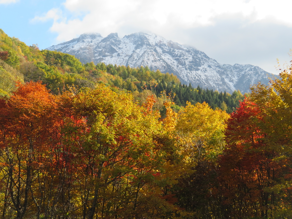 f:id:mannenNA:20211031173126j:plain