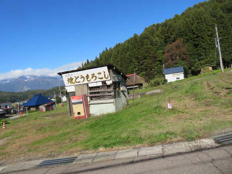 f:id:mannenNA:20211101174234j:plain