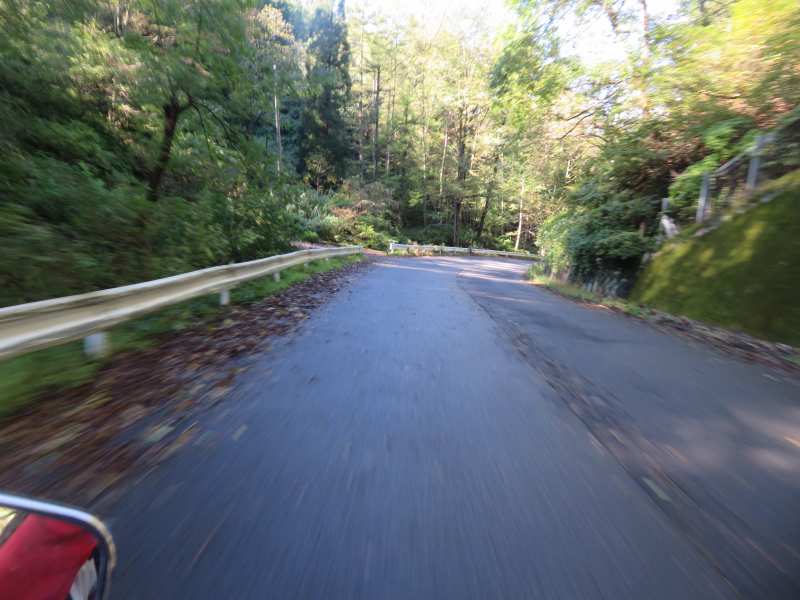 f:id:mannenNA:20211101174257j:plain