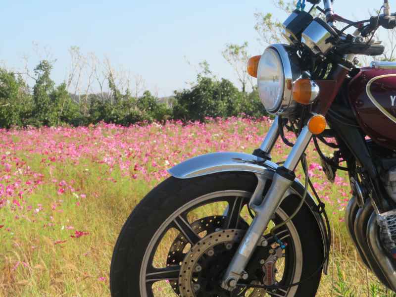 f:id:mannenNA:20211101174734j:plain