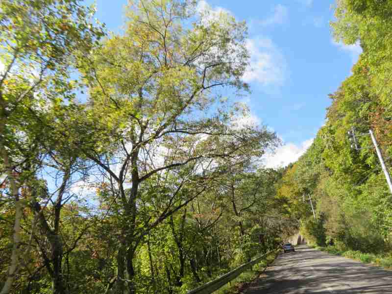 f:id:mannenNA:20211101175107j:plain